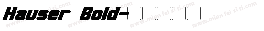 Hauser Bold字体转换